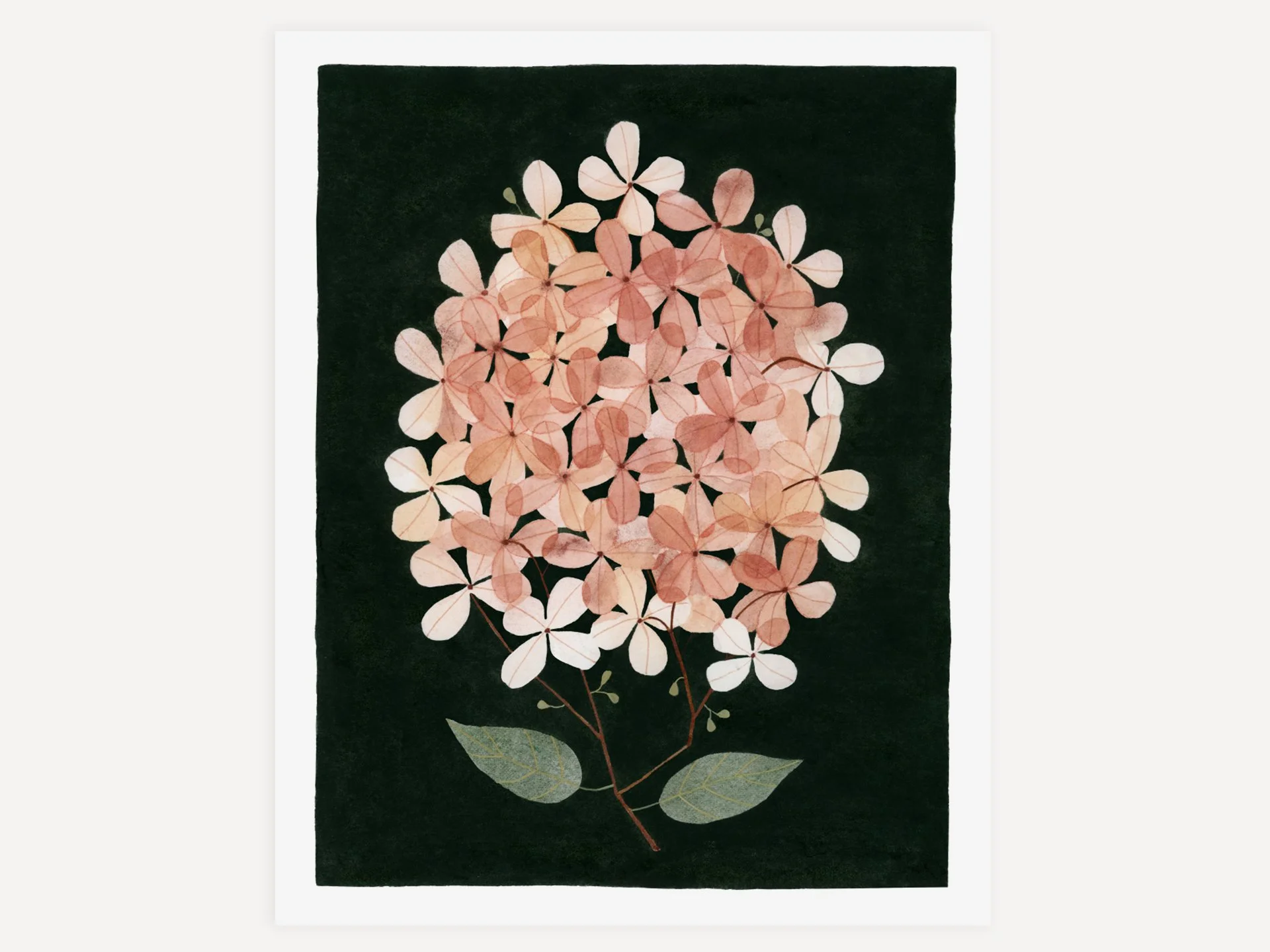 Pressed+Hydrangea_Web1.jpg?